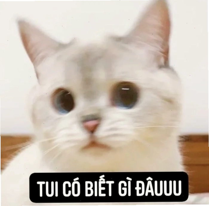 hả gì ai biết đâu meme hài