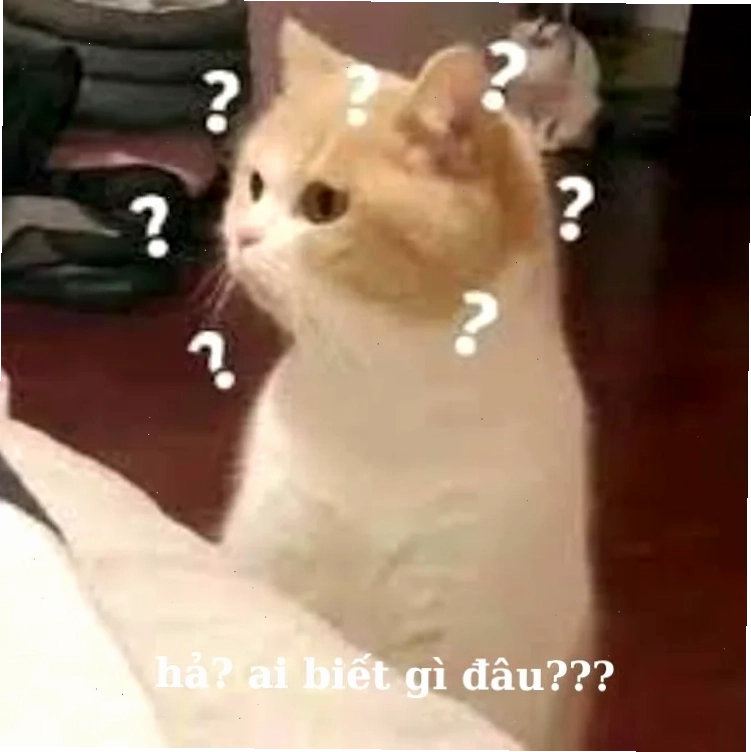 hả gì ai biết đâu meme hài hước