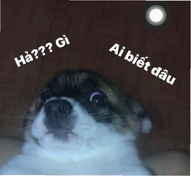 hả gì ai biết đâu meme huyền thoại