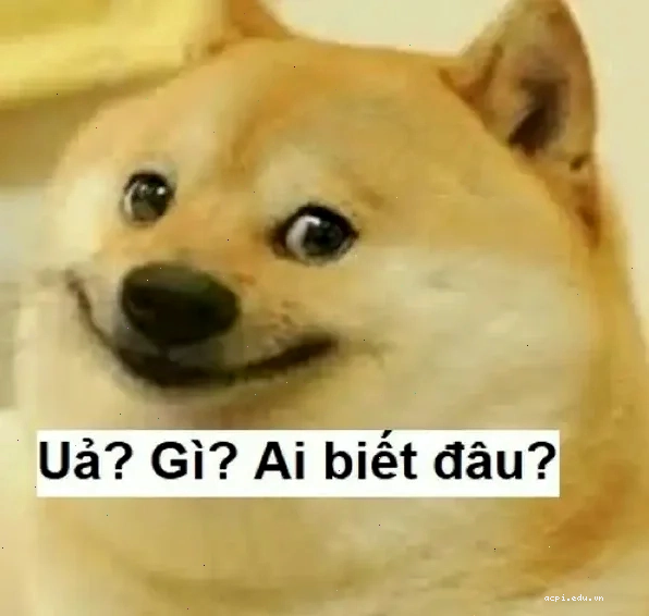 hả gì ai biết đâu meme lan rộng
