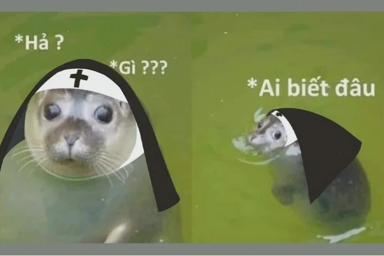 hả gì ai biết đâu meme ngơ ngác