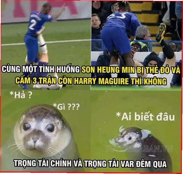 hả gì ai biết đâu meme ngộ nghĩnh