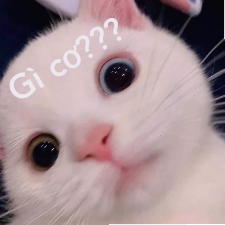 hả gì ai biết đâu meme sáng tạo