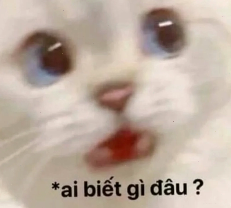 hả gì ai biết đâu meme shy seal