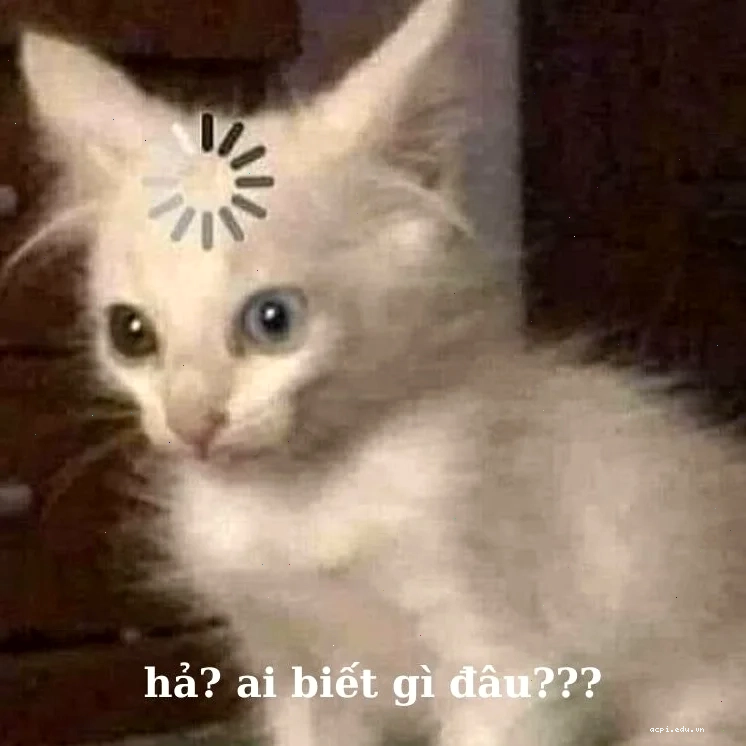 hả gì ai biết đâu meme thực tế
