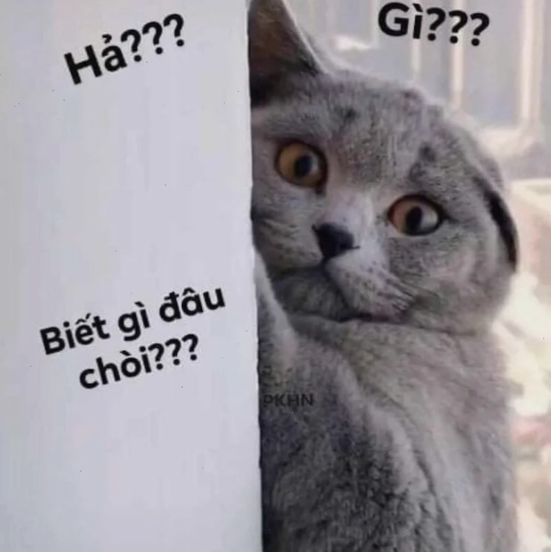 hả gì ai biết đâu meme trên instagram