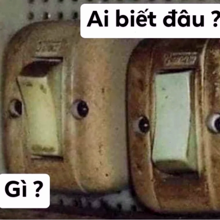 hả gì ai biết đâu meme vui nhộn