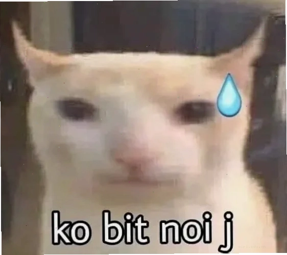 hài nhạt meme