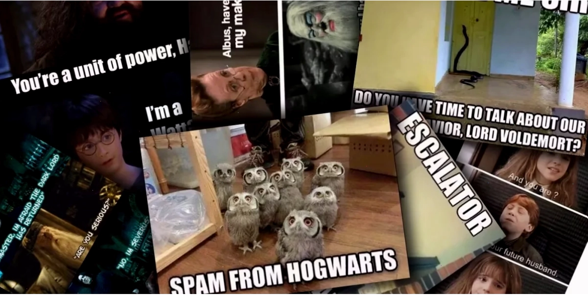 harry potter memes hagrid
