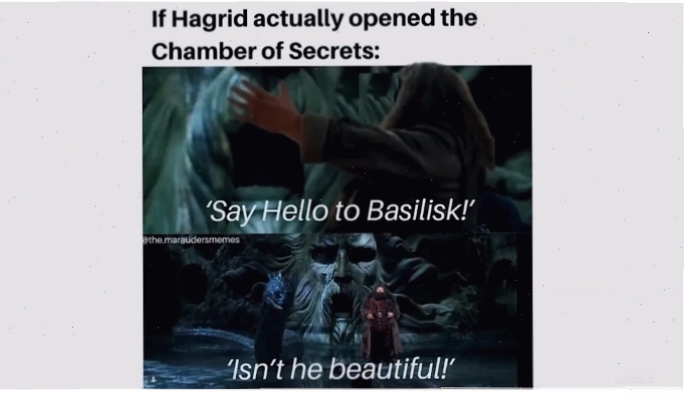 harry potter memes khoe đũa phép