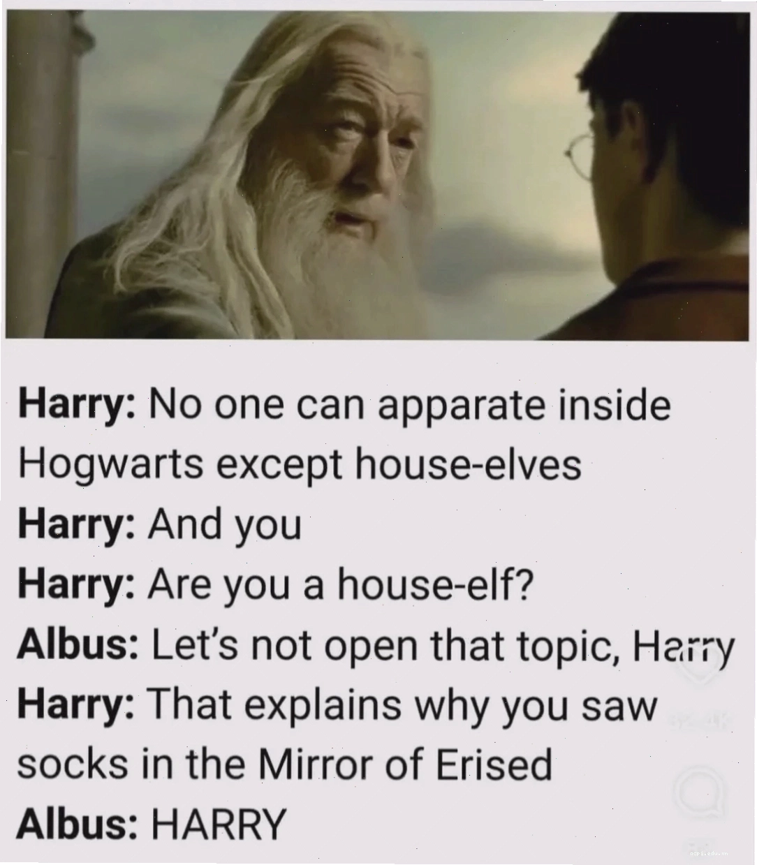 harry potter memes né quả snitch
