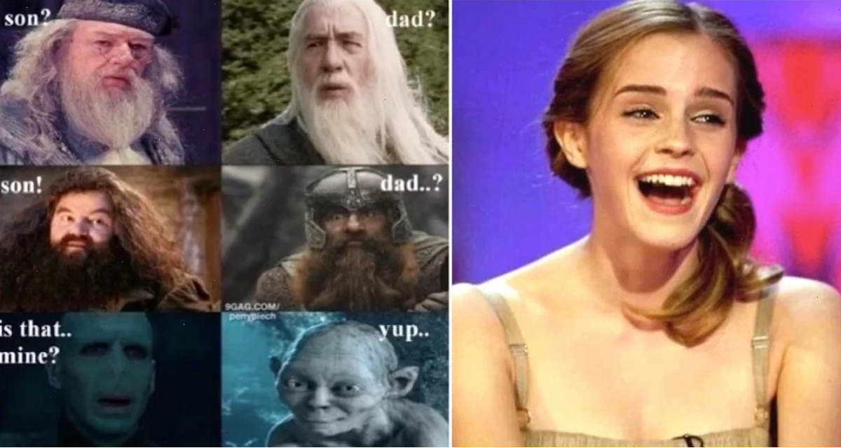 harry potter memes snitch