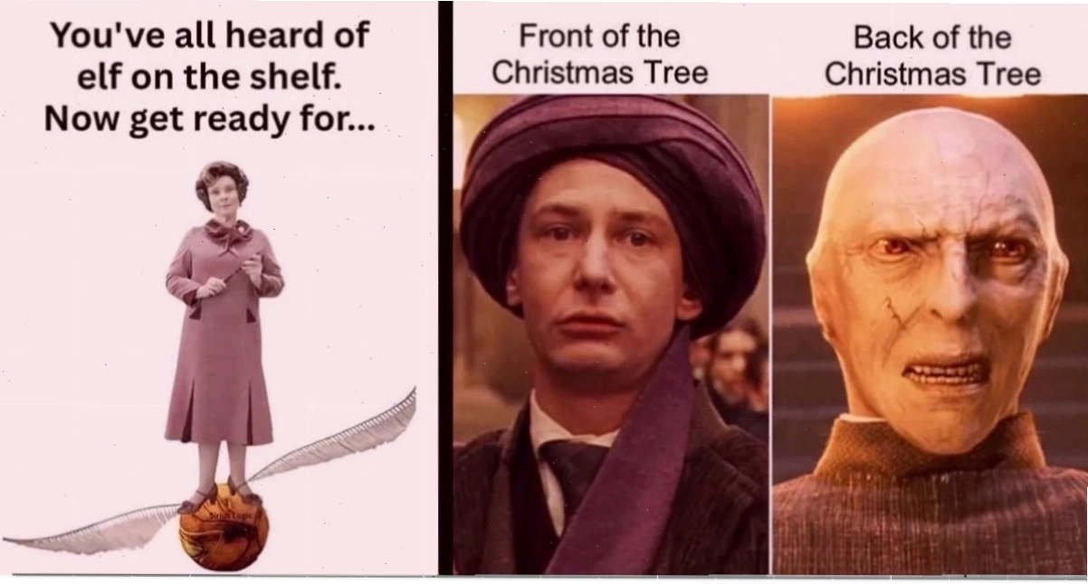 harry potter memes sứ mệnh snitch