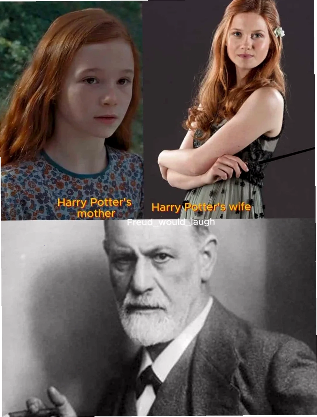 harry potter memes thần chú cổ