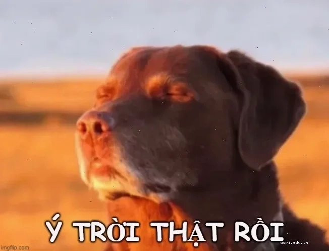hệ mặt trời meme hỗn loạn