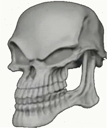 head meme phong cách hoạt hình