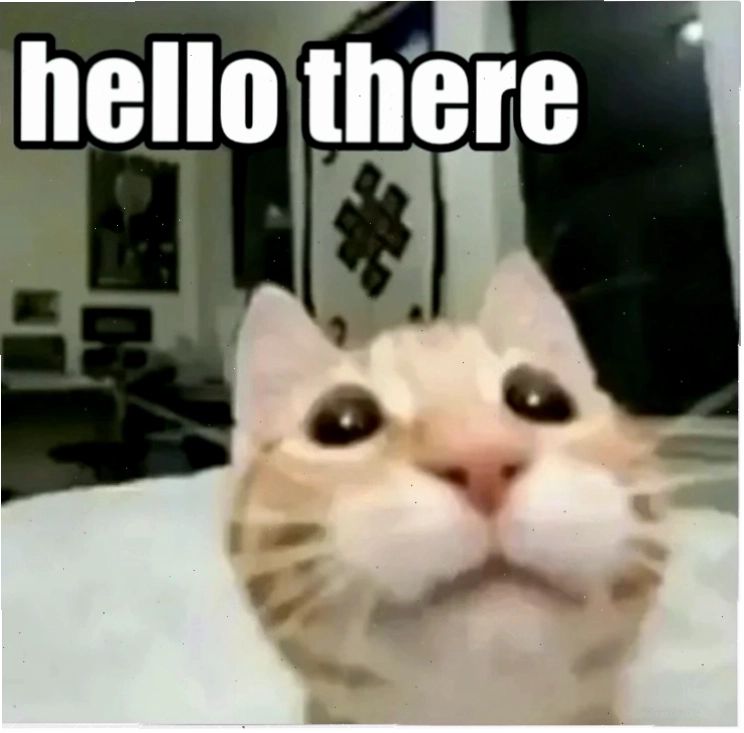 hello from meme hai huoc