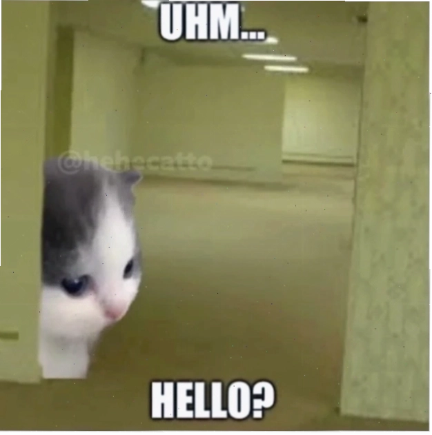 hello from meme hai huoc