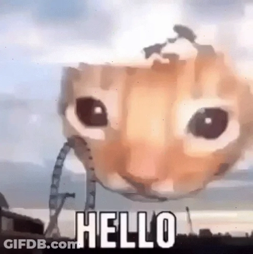 hello from meme hai huoc