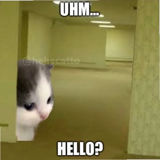 hello from meme hai huoc