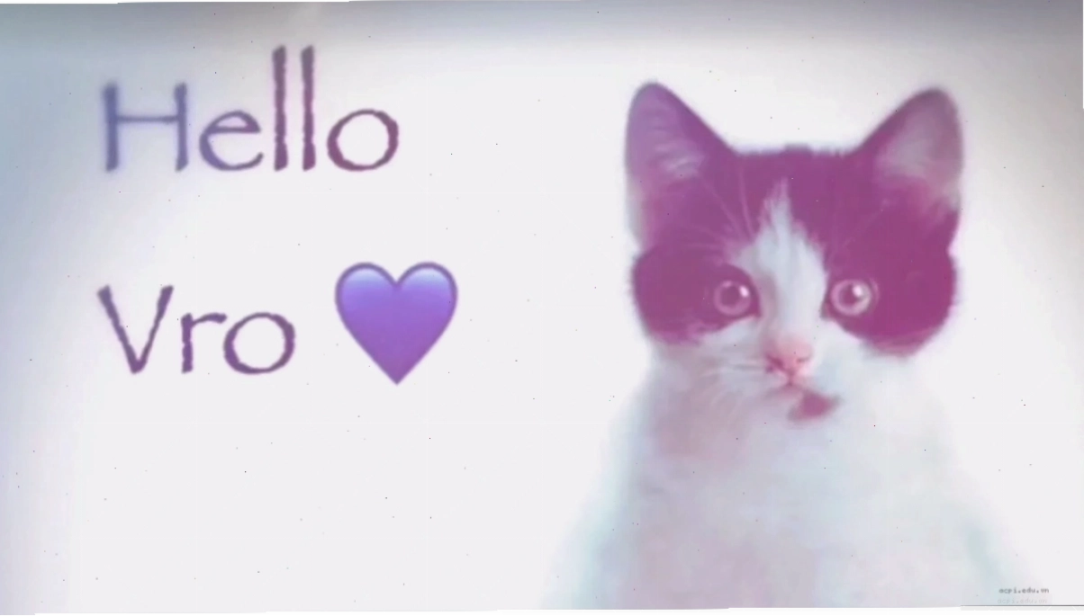 hello from meme hai huoc