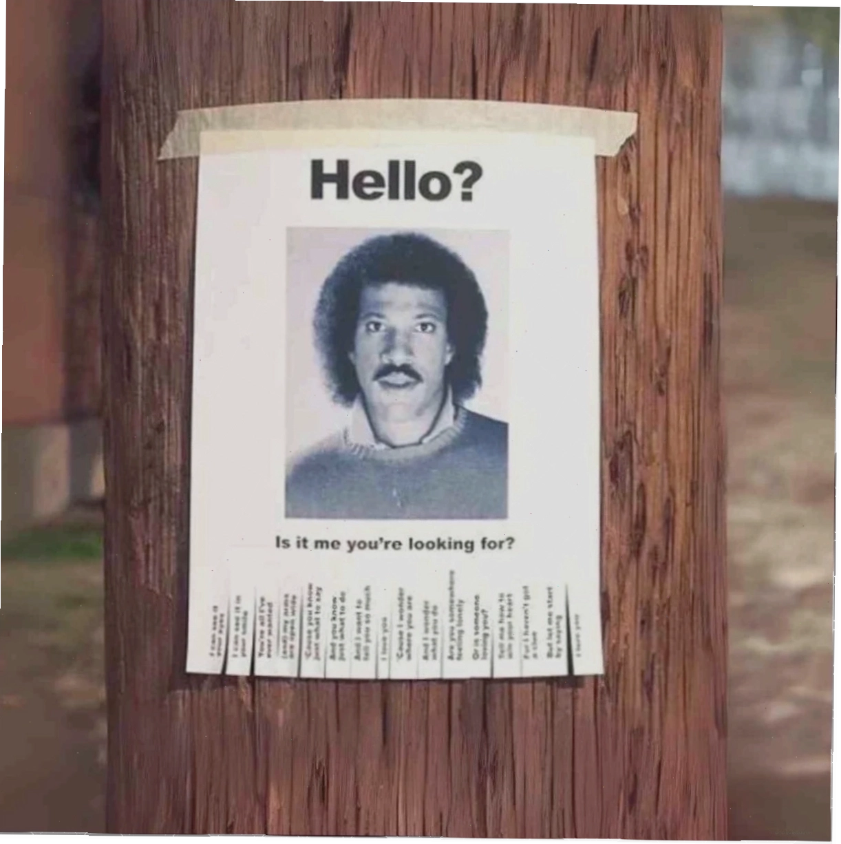 hello from meme thu vi