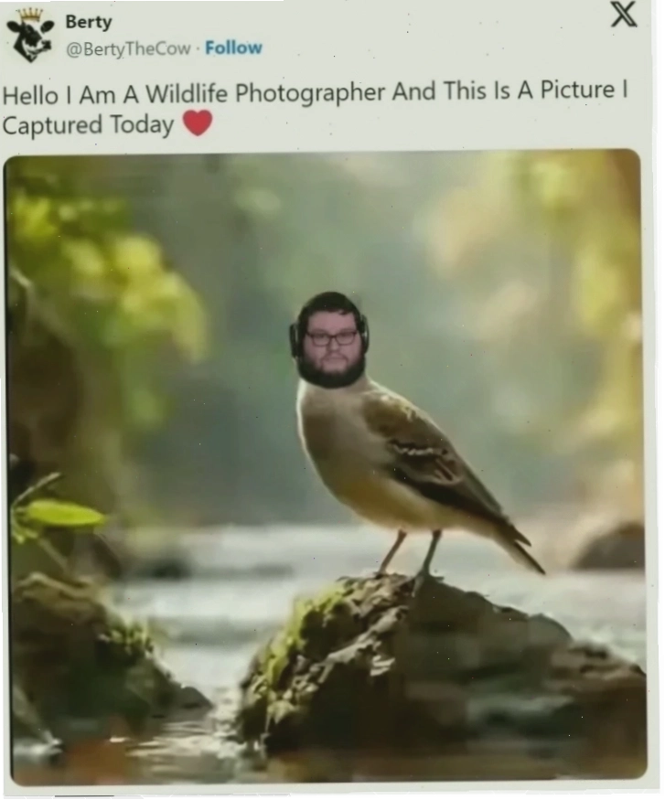hello from meme thu vi