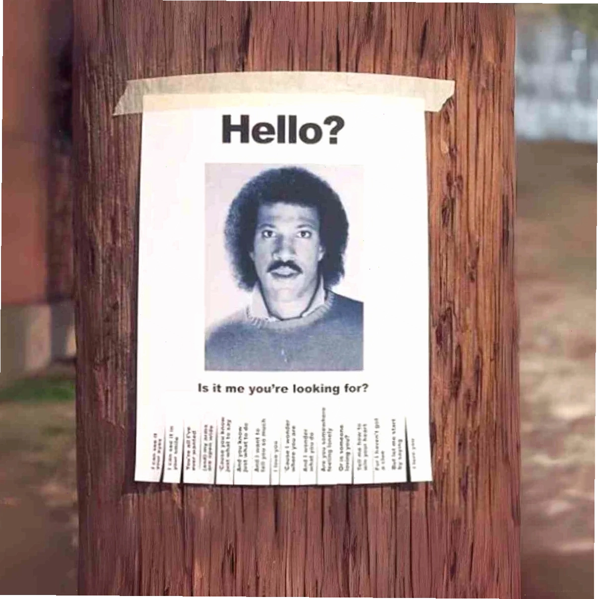 hello from meme thu vi