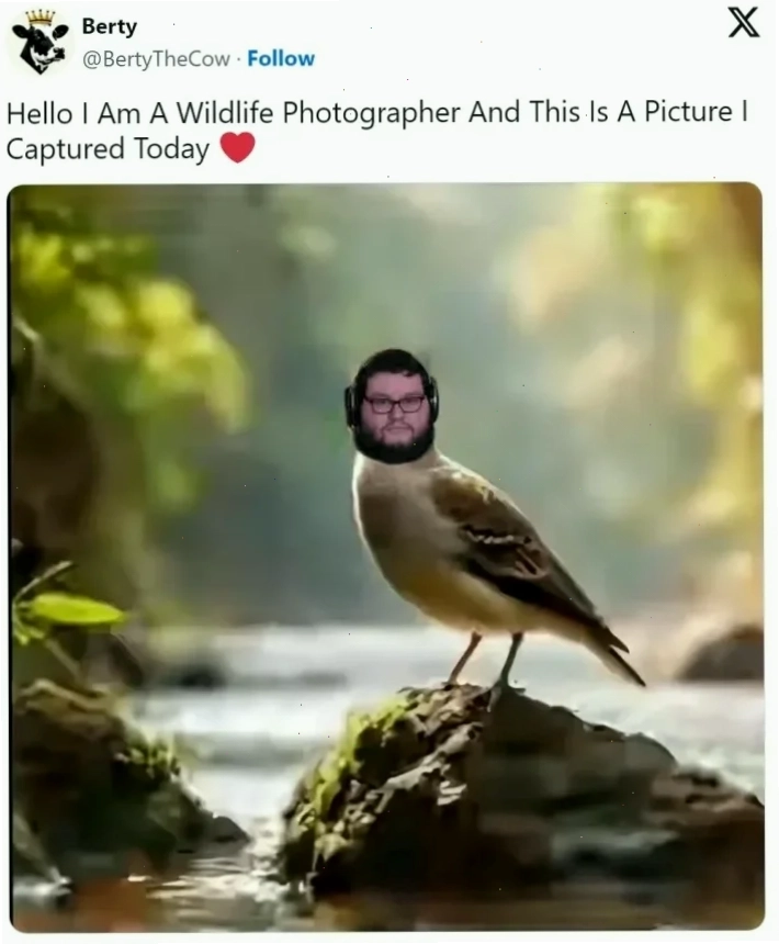 hello from meme thu vi