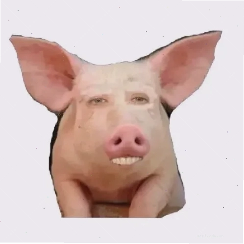 heo meme