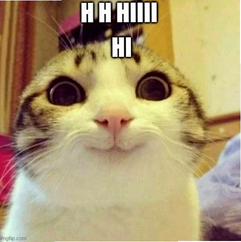 hihi meme chó con