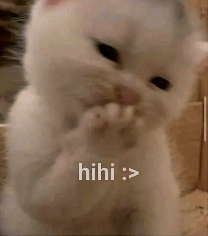 hihi meme chú mèo nhỏ