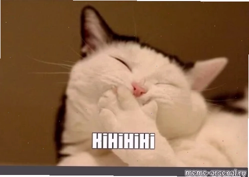 hihi meme mèo nối kết
