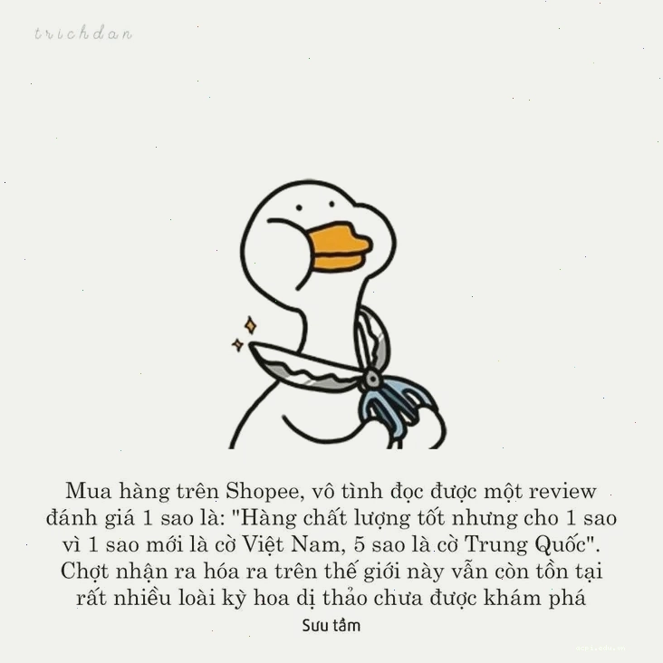 Hình ảnh đánh giá meme châm biếm