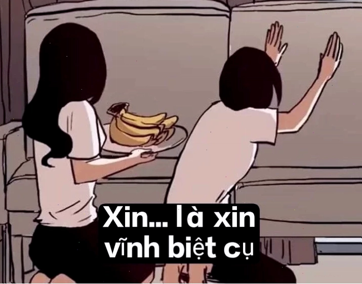 Hình ảnh meme