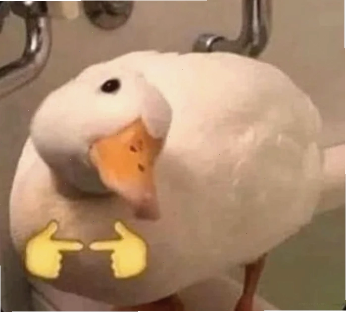 Hình ảnh vịt vàng meme hài hước