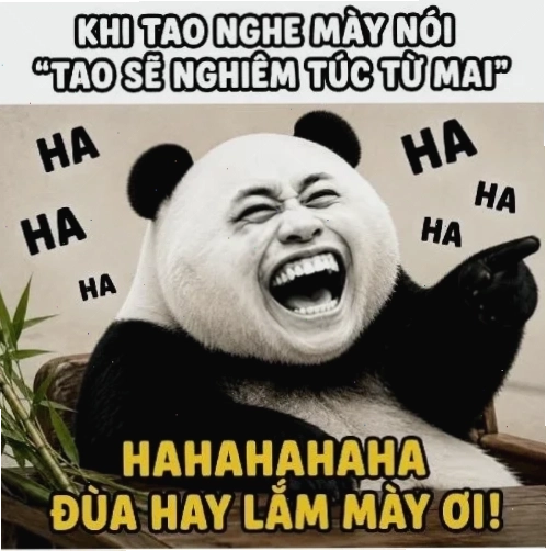 Hình gấu trúc troll đồ đần