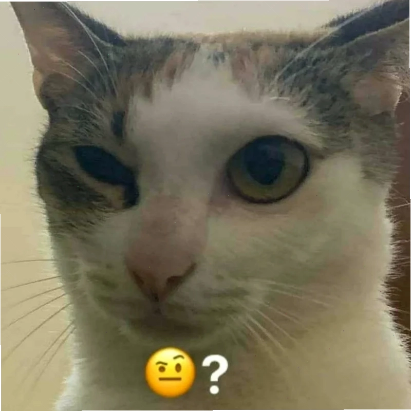 hình meme gương mặt bối rối