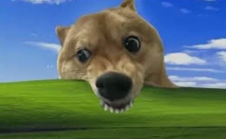 Ảnh viral hình nền máy tính meme
