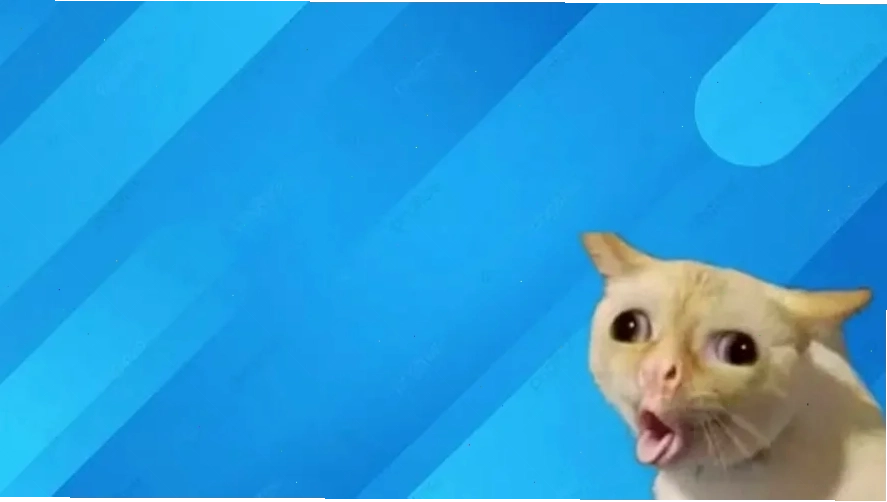 Ảnh hài kinh điển hình nền máy tính meme