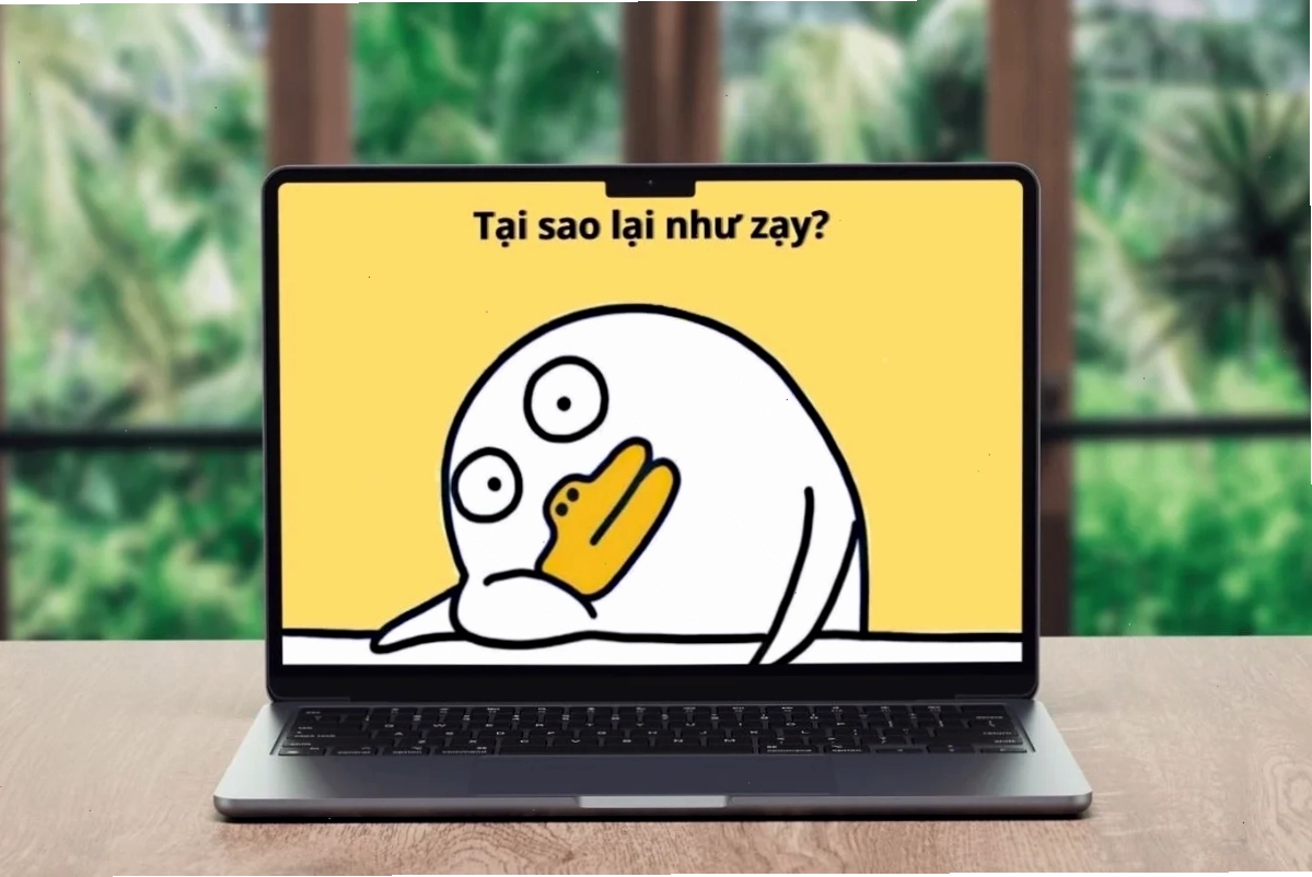Ảnh chế phong cách hình nền máy tính meme
