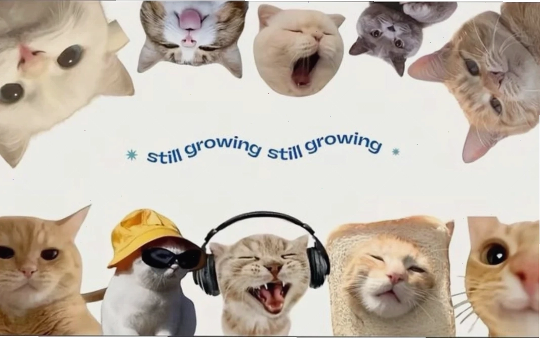 Ảnh meme game hình nền máy tính meme