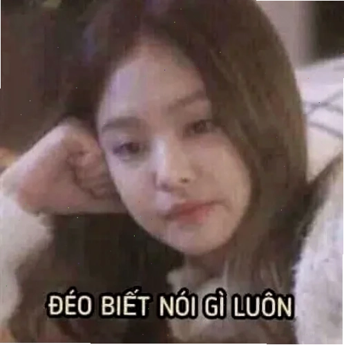 hình troll cạn lời meme đau bụng cười