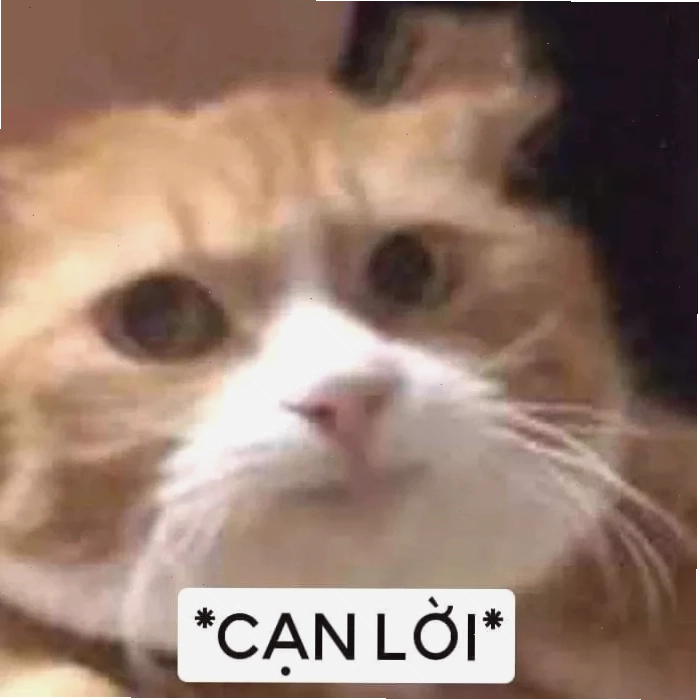 hình troll cạn lời meme với cuộc đời