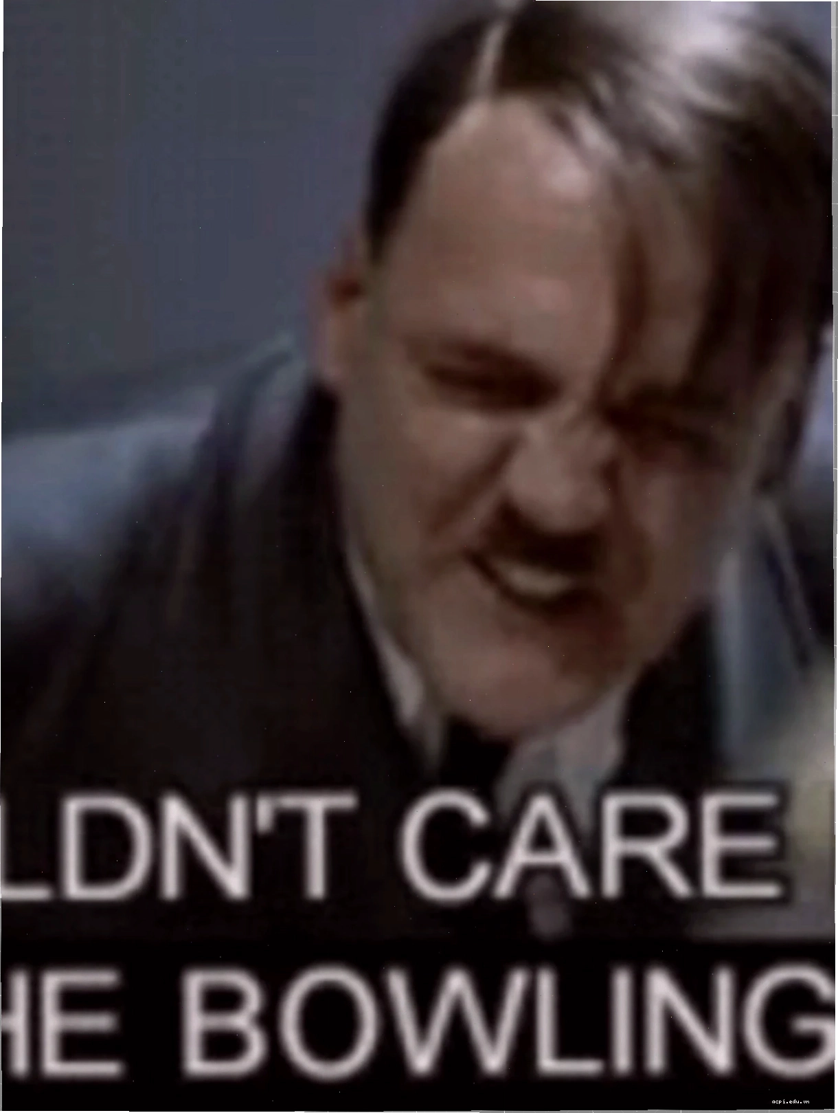 hitler memes quy định