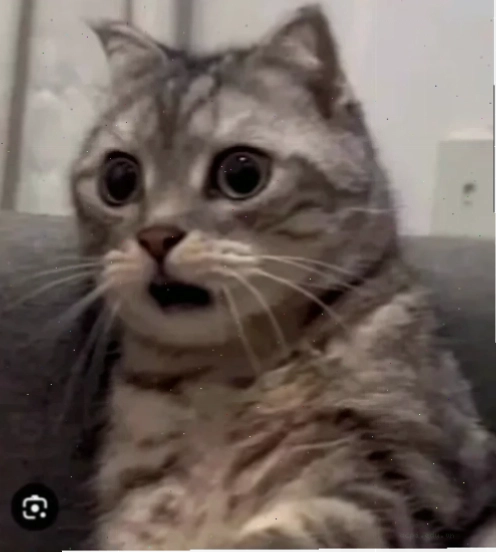 hoang mang meme người thật hoang mang meme biểu cảm thật