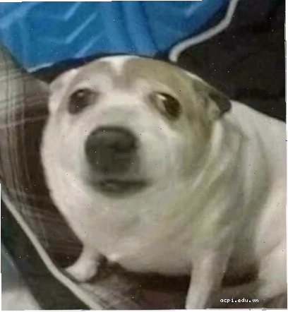 biểu cảm hoang mang meme hoang mang meme gương mặt ngơ ngác
