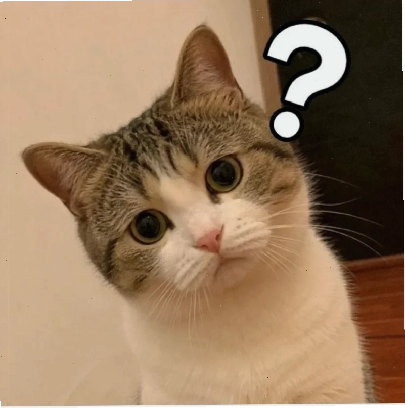hoang mang meme hài hước hoang mang meme hài hước