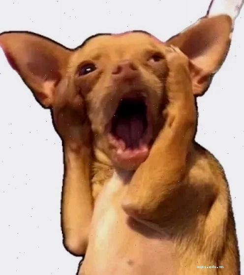 hoang mang meme hoạt hình hoang mang meme hoạt hình