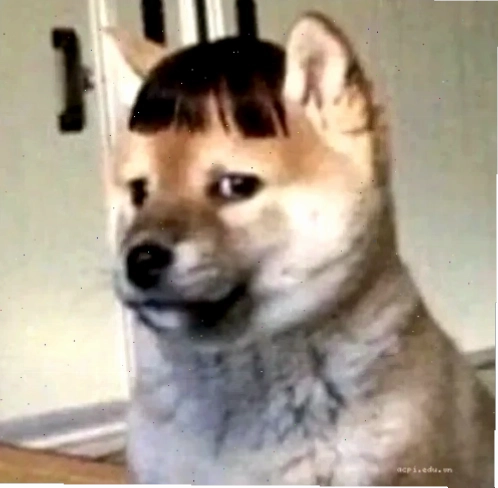 hoang mang meme ngạc nhiên hoang mang meme ngạc nhiên